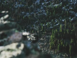 Фотеља со ленена тапацирка detail 2